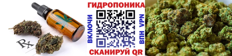 Canna-Cookies марихуана  Касимов 