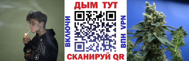 Марихуана White Widow  продажа наркотиков  Касимов 